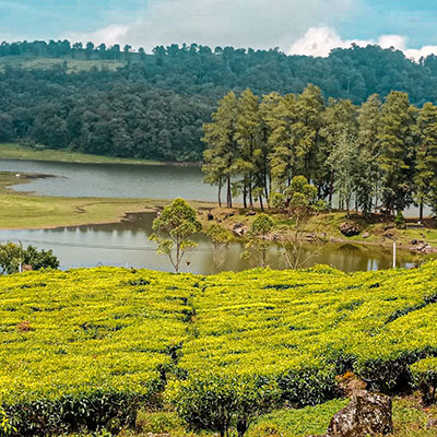 Situ Patenggang